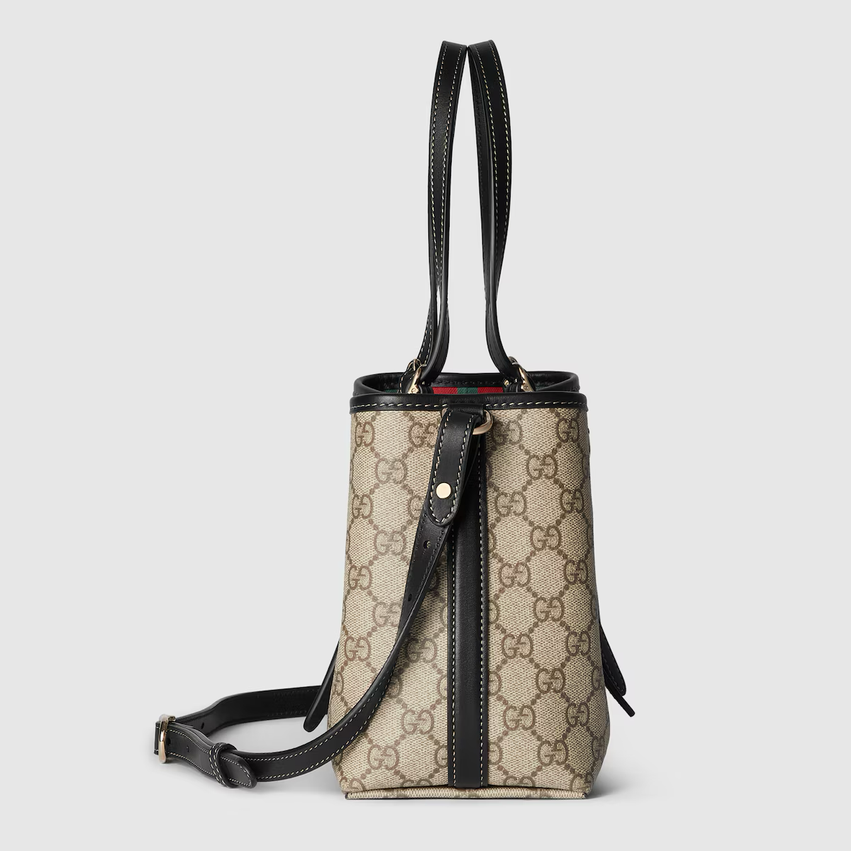 Beige & Black Canvas